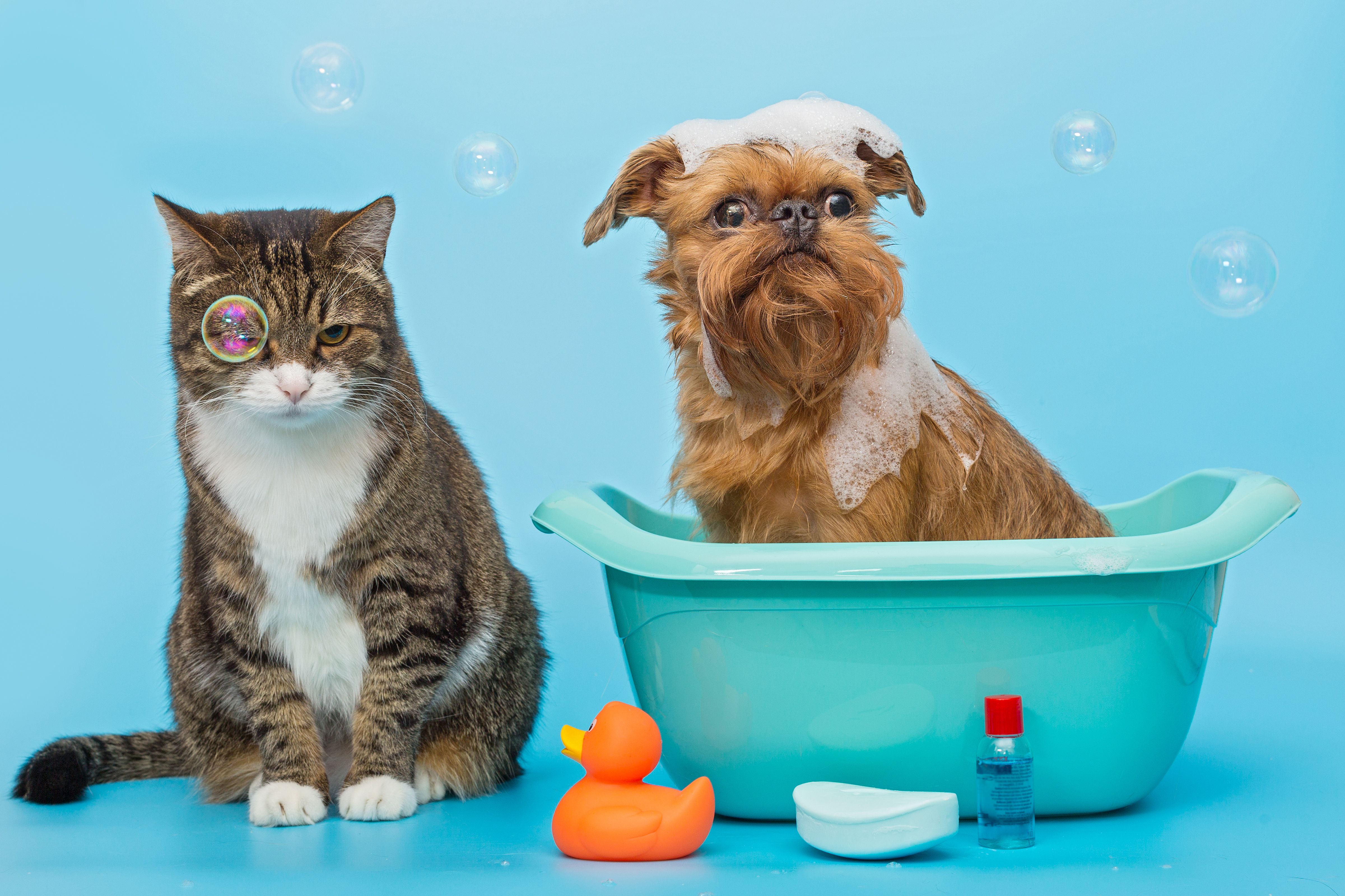 UnaVet Home Care